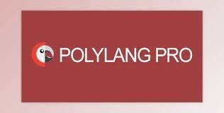 Polylang Pro – Multilingual Plugin