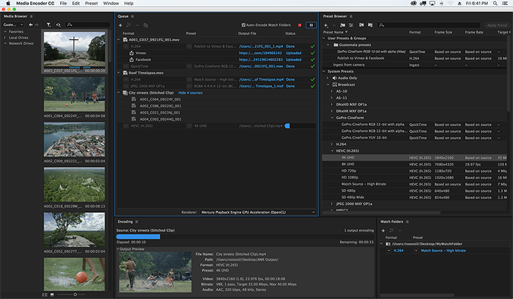 Adobe Media Encoder 2024 - Image 2